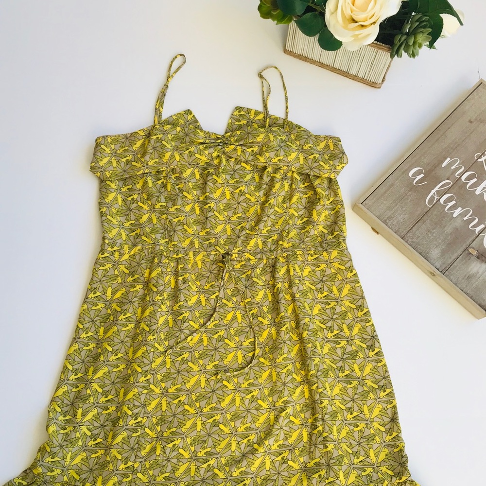 Twelfth Street by Cynthia Vincent Spring Dress